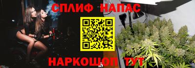 марихуана Будённовск