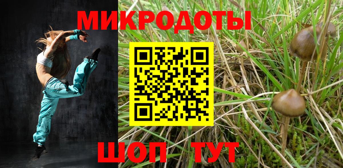 Галлюциногенные грибы Cubensis  Вход с VPN  Шарыпово 